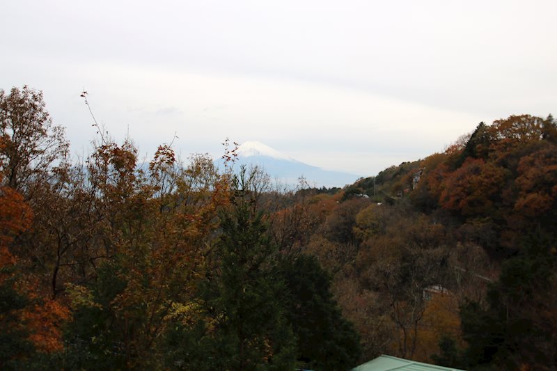 リビングからの富士山の眺望です。実際はもっと大きく見えますので是非ご自身の目でお確かめください。