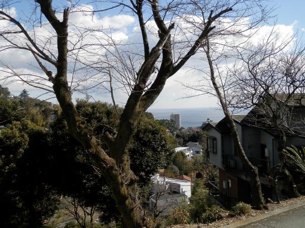 西側接道より。相模湾を遠望します。