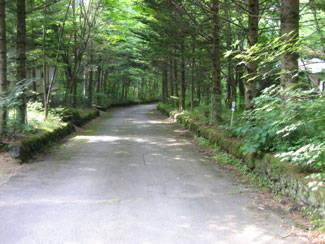 地形の良い平坦地です