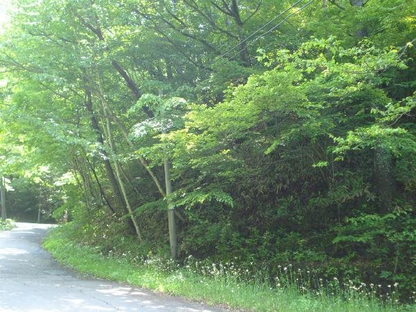 碓井軽井沢I.C.からのアクセスも良好!!