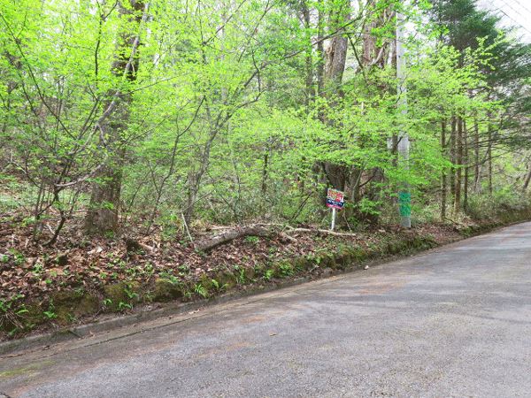 道路付けの良い土地です。