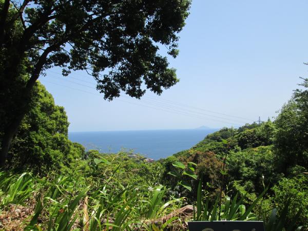 相模湾を一望します