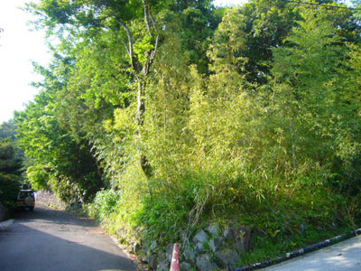宮城野の丘の上の分譲地