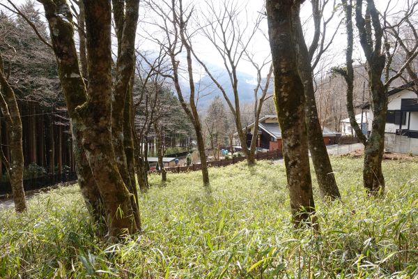 南向き 日当たり良好の角地